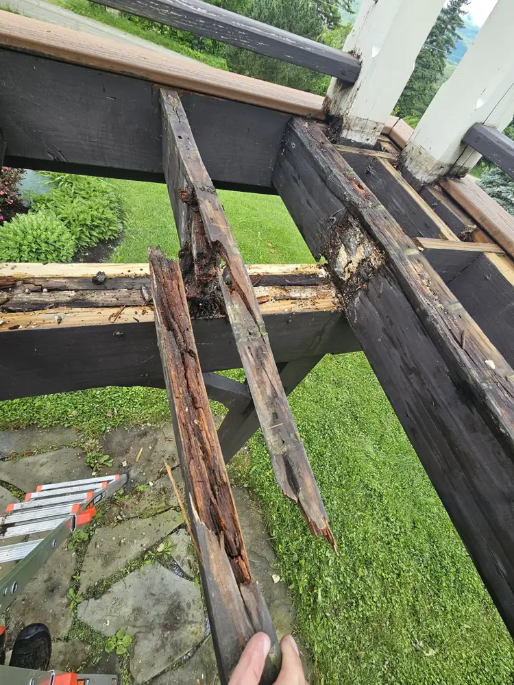 Rotted joist pulled out by hand during demo